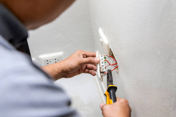 Best Ceiling Fan Installation Electrician  in Laguna Vista, TX