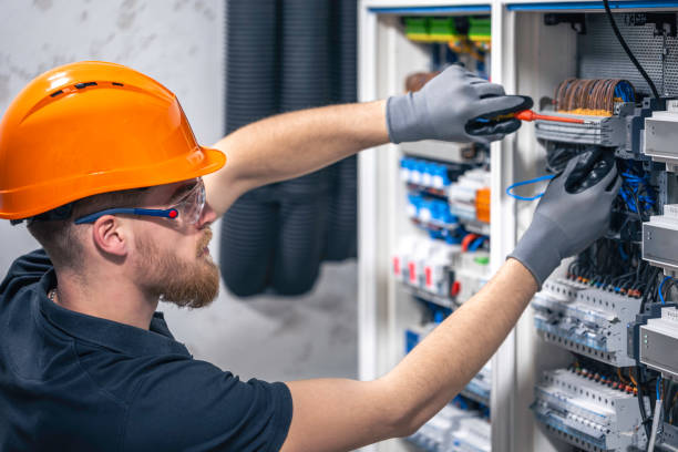 Best Local Electrician Companies  in Laguna Vista, TX